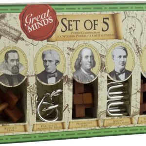 WOODEN AND METAL PUZZLES SET  5 IN 1 - GREAT MINDS - MENS